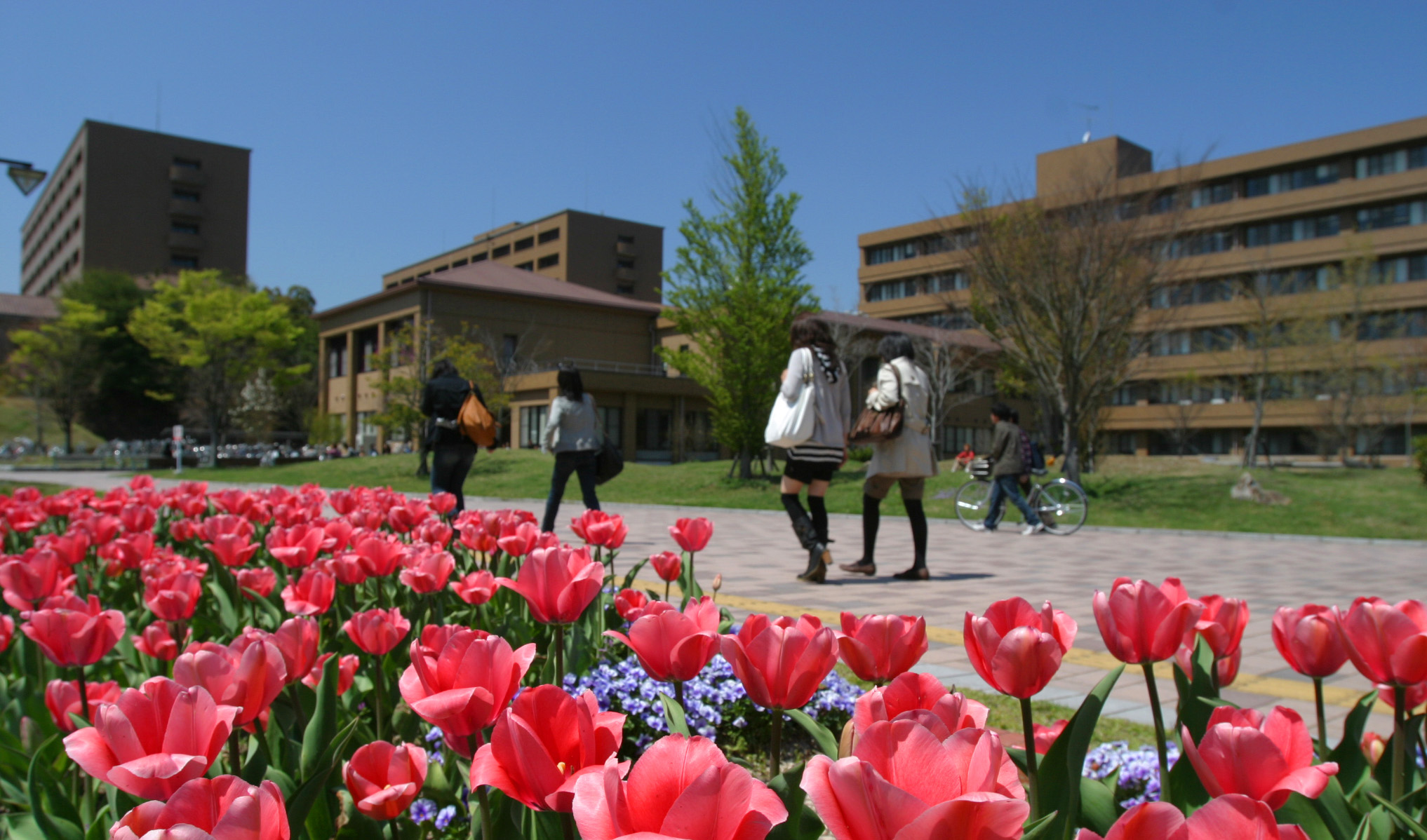 国立大学法人 広島大学イメージ