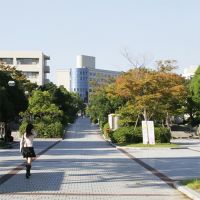 和歌山大学イメージ