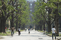 東京大学イメージ