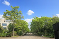 北陸大学イメージ