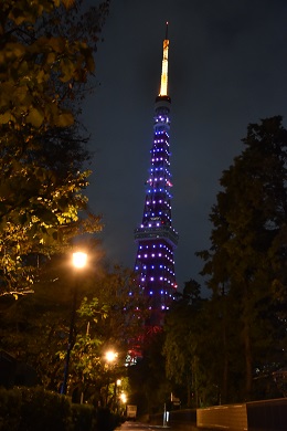 東京タワー／東京都（11/12）のパープル・ライトアップ3