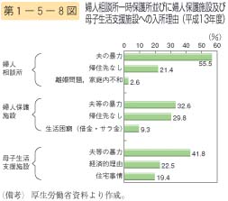 第8図　婦人相談所一時保護所並びに婦人保護施設及び母子生活支援施設への入所理由（平成13年度）