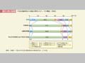 第1－特－32図　市民活動団体の活動分野別スタッフの構成（性別）