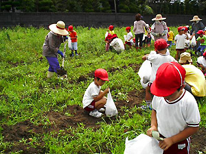 女性農業機械オペレーターグループ「グリーンズ」（福岡県苅田町）の写真