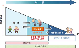 ＜フレイルの概念図＞