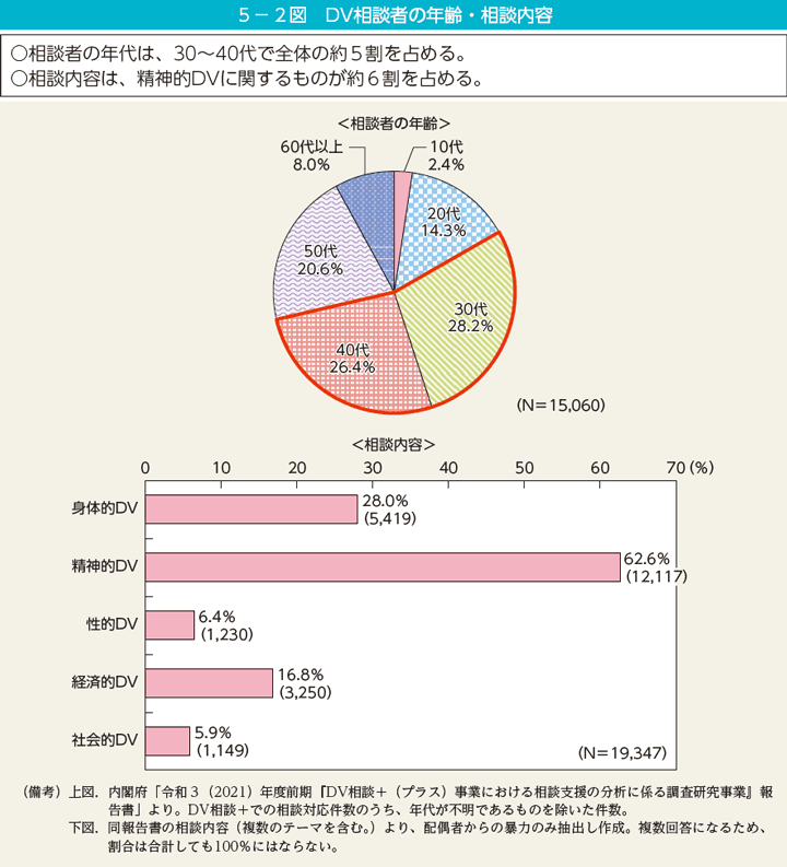 第2図　DV相談者の年齢・相談内容