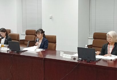 女性に対する暴力に関する専門調査会　写真