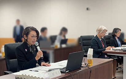 女性に対する暴力に関する専門調査会　写真