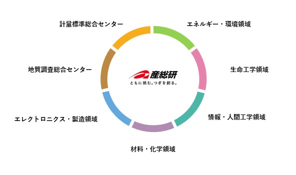 領域別の研究員職員構成