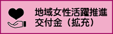 地域女性活躍推進交付金（拡充）