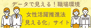 女性活躍推進法見える化サイト