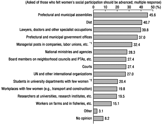 Figure 6: In which areas should women's social participation be advanced?