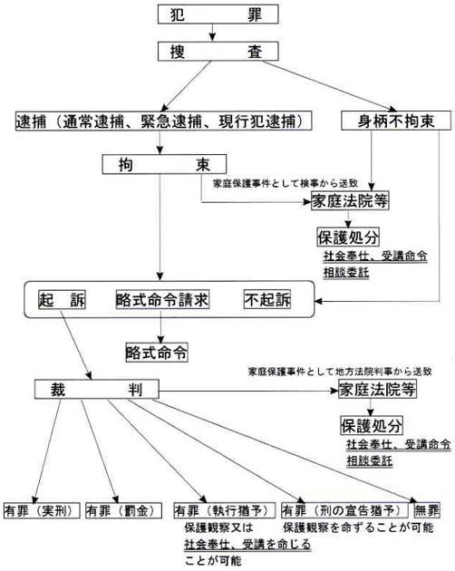 画像:ドイツにおける刑事手続及び保護命令の流れ