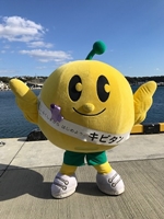 【福島県復興シンボルキャラクターふくしまから はじめよう。キビタン】