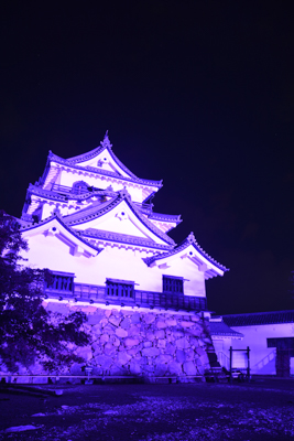 彦根城天守