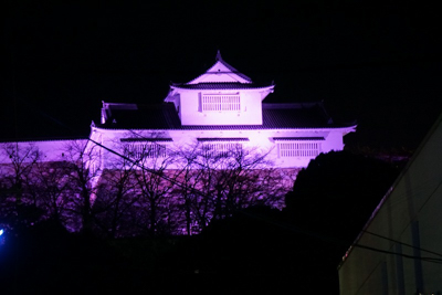 津山城（鶴山公園）備中櫓