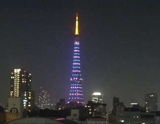 東京タワー／東京都（11/12）のパープル・ライトアップ2