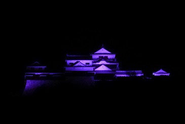 松山城／愛媛県（11/12）のパープル・ライトアップ