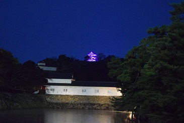 彦根城／滋賀県（11/25）のパープル・ライトアップ1