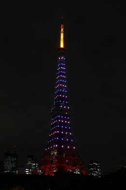東京タワー／東京都（11/12）のパープル・ライトアップ2