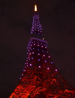 東京タワー／東京都（11/12）のパープル・ライトアップ4
