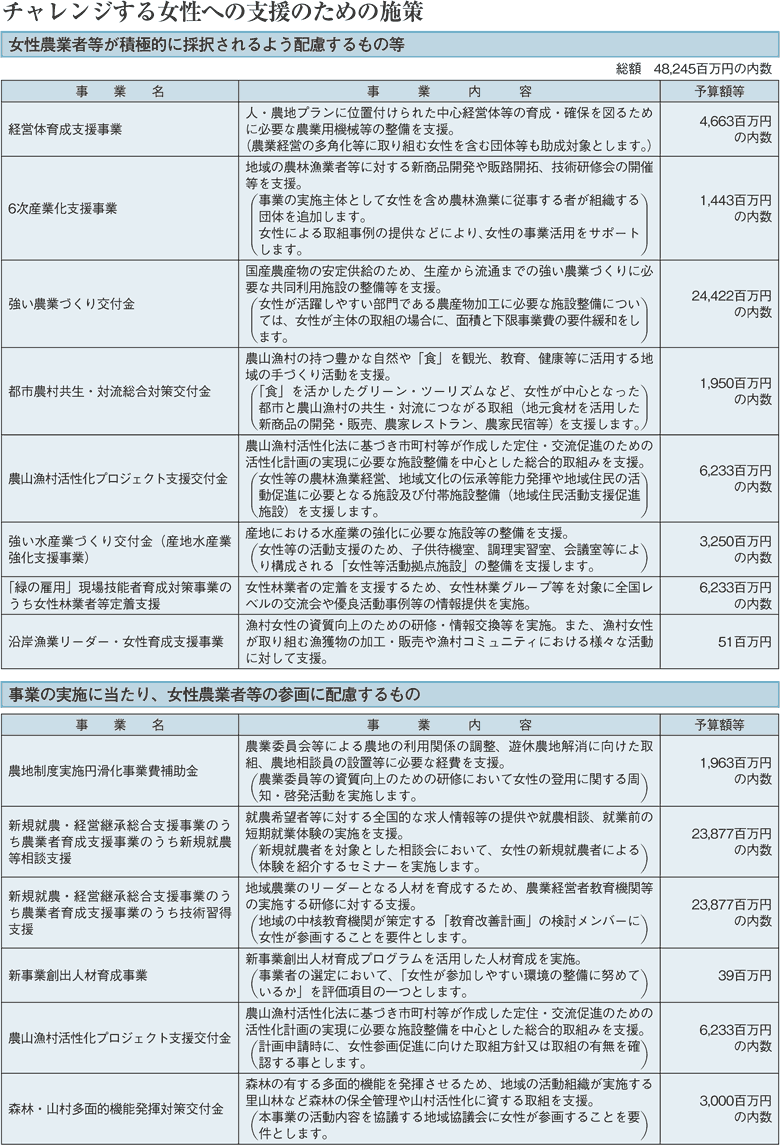 チャレンジする女性への支援のための施策