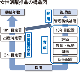 女性活躍推進の構造図