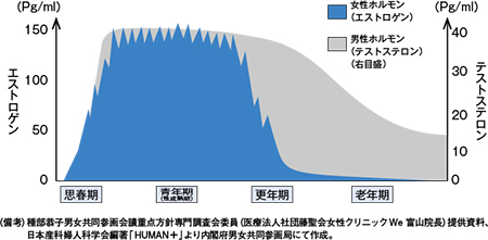 図７　男性・女性ホルモンの推移