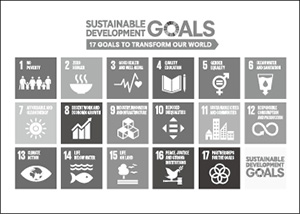 SDGs：持続可能な開発目標（Sustainable Development Goals）