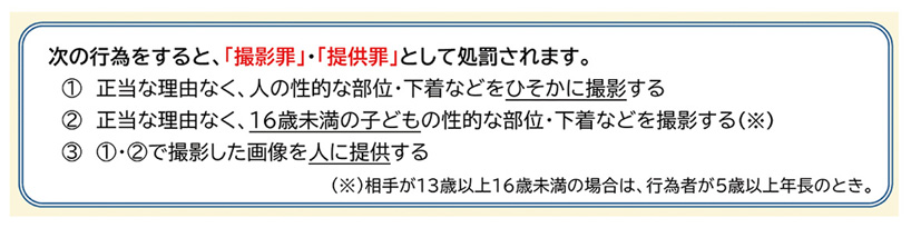 刑法・刑訴法改正法の概要