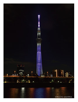 東京スカイツリー（東京都）