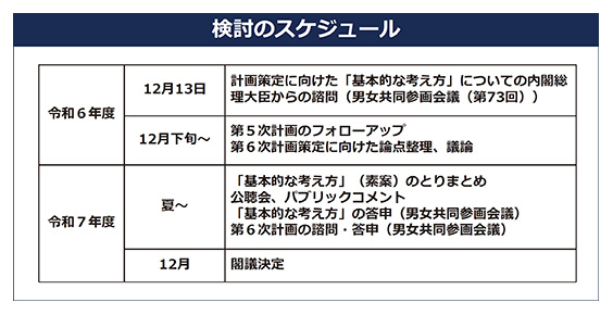 検討のスケジュール