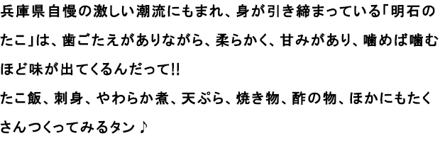 兵庫県自慢の激しい潮流にもまれ、身が引き締まっている「明石のたこ」は、歯ごたえがありながら、柔らかく、甘みがあり、噛めば噛むほど味が出てくるんだって!!たこ飯、刺身、やわらか煮、天ぷら、焼き物、酢の物、ほかにもたくさんつくってみるタン♪
