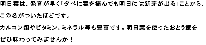 明日葉は、発育が早く「夕べに葉を摘んでも明日には新芽が出る」ことから、この名がついたほどです。
                                                               カルコン類やビタミン、ミネラル等も豊富です。明日葉を使ったおとう飯をぜひ味わってみませんか！