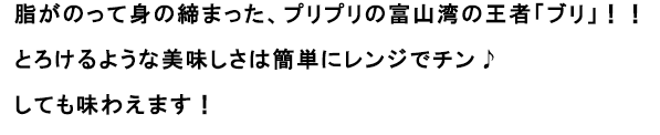 脂がのって身の締まった、プリプリの富山湾の王者「ブリ」！！
                                                               とろけるような美味しさは簡単にレンジでチン♪しても味わえます！