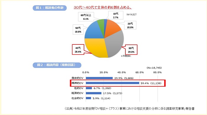 ＤＶ相談者の年齢・相談内容のグラフ